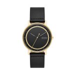 Montre skagen signatur skw6897 noir
