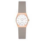 Montre skagen skw3079 or