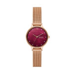 Montre skagen skw3150 or