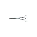 Ciseaux sculpteur 6. 5 centaure