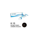 Coloration generik 6, 15 blond fonc cendr acajou