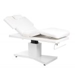 Table de massage bere ? spa �lectrique 3 moteurs multipositions