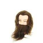 Tte d'tude louis apprentissage coiffure