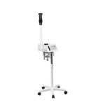 Vapozone professionnel weelko h - two f300a digital avec ozone