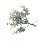10 branches eucalyptus enneiges sur tige 17 cm