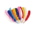 12 plumes indiennes multicolores 30 cm