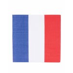 20 serviettes tricolore bleu blanc rouge 20 serviettes tricolore bleu blanc rouge