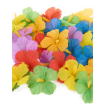 24 fleurs hawaennes