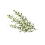 3 branches de cyprs artificielles enneiges 10 cm