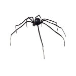 Araigne noire 110 cm halloween