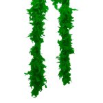 Boa vert