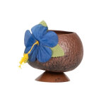 Coupe hawa� noix de coco tropicale
