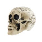 Cr�ne de squelette avec pentagramme 18 x 12 x 15 cm