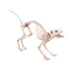 Dcoration chat squelette halloween