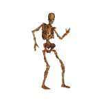 D�coration squelette articul� en d�composition 180 cm