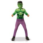 Dguisement classique hulk garon