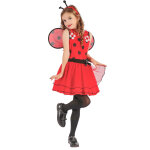 Dguisement coccinelle fleurs fille