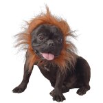 Dguisement lion pour chien