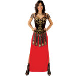 Dguisement robe longue guerrire femme