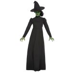 D�guisement sorci�re noire femme