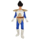 Dguisement vegeta dragon ball homme