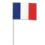 Drapeau papier france 14 x 21 cm