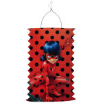 Lampion en papier ladybug 28 cm