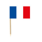 Lot de 50 drapeaux mini - piques france