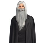 Perruque et barbe de sorcier magicien gris adulte