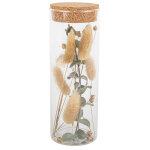 Tube en verre avec plumeaux et eucalyptus 18, 5 cm