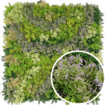 Mur v�g�tal artificiel mousse 1mx1m