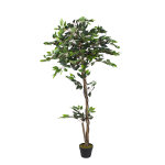 Plante artificiel ficus hauteur 160 cm Plante artificiel ficus hauteur 160 cm