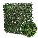 Treillis extensible feuilles de photinia 1m x 2m