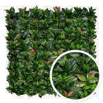 Treillis extensible feuilles de photinia 1m x 2m .