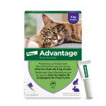 Advantage 80 chat et lapin de plus de 4 kg 4pipettes