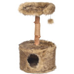 Arbre  chat betula 1 45x45x81cm