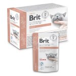 Brit vet diet renal en sachets pour chat 12x85g