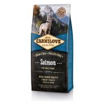 Carnilove saumon adult pour chien 12kg