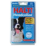 Collier d'ducation halti noir 2