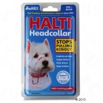 Collier d'ducation halti rouge 1
