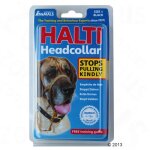 Collier d'ducation halti rouge 4