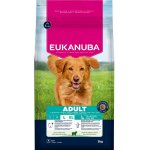 Eukanuba adult large breed croquettes pour chien à l'agneau et riz 3kg Eukanuba adult large breed croquettes pour chien à l'agneau et riz 3kg