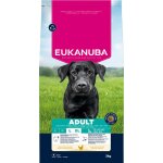 Eukanuba adult large breed croquettes pour chien aux poulet 3kg Eukanuba adult large breed croquettes pour chien aux poulet 3kg