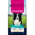 Eukanuba adult medium breed croquettes pour chien aux poulet 3kg Eukanuba adult medium breed croquettes pour chien aux poulet 3kg