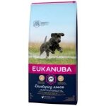 Eukanuba puppy & junior large breed pour chien 3kg