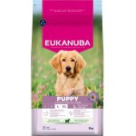Eukanuba puppy large breed croquettes pour chiot à l'agneau et riz 3kg Eukanuba puppy large breed croquettes pour chiot à l'agneau et riz 3kg