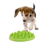 Gamelle anti glouton northmate green karlie l 30 x l 23