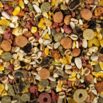 Good crunchy snack friandises pour rongeurs 9kg