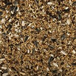 Good nourriture pour grandes perruches 20kg