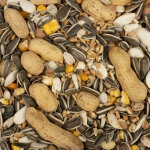 Good mix noix exotiques pour perroquet 15kg